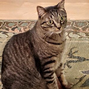 Meet your Posher, Nancy